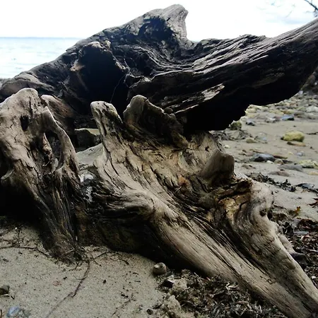 6 Person In بيت للعطل Hejls