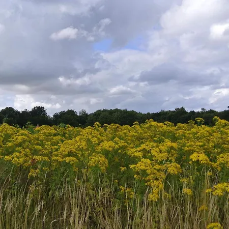 6 Person In بيت للعطل Hejls