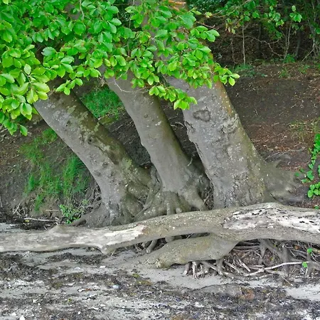 بيت للعطل 6 Person In *